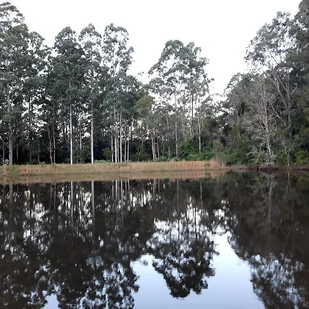 Orana